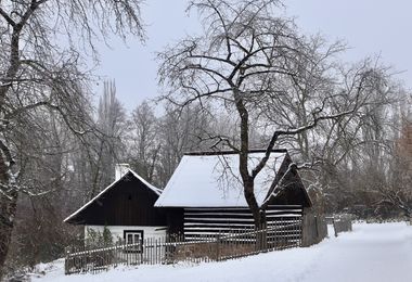 Adventní neděle