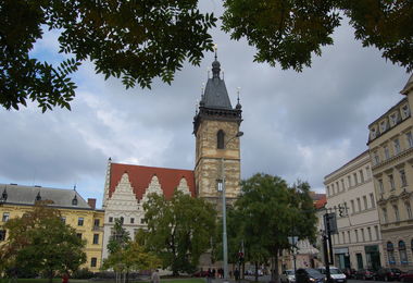 Novoročenky pomáhají ? výstava obrazů z charitativního projektu Společnosti DUHA, z. ú.