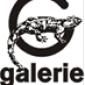 Galerie U Mloka