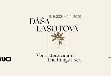 DÁŠA LASOTOVÁ / Věci, které vidím