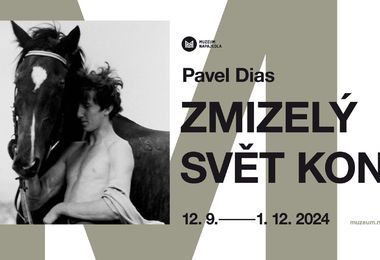 Zmizelý svět koní • Pavel Dias